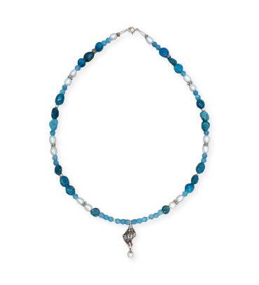 Apatite sea shell ne...